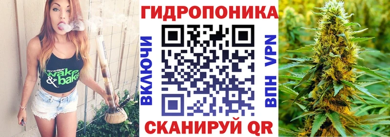 МЕФ Грязи
