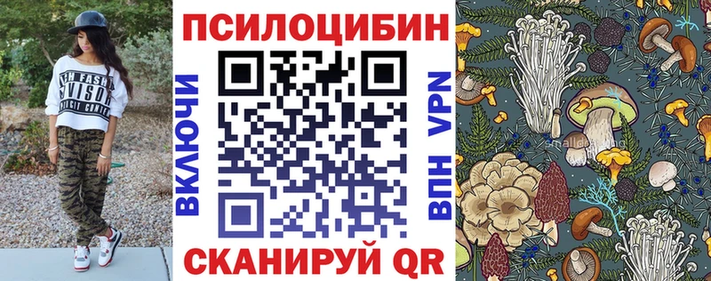 Псилоцибиновые грибы Psilocybine cubensis  наркотики  Грязи 